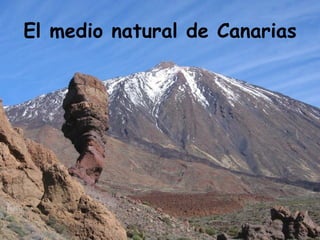El medio natural de Canarias
 