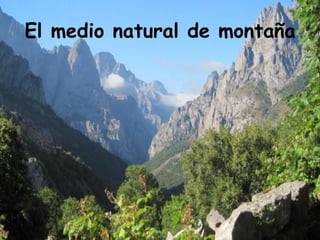 El medio natural de montaña
 