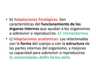 • b) Adaptaciones fisiológicas: Son
características del funcionamiento de los
órganos internos que ayudan a los organismos
a sobrevivir o reproducirse. EJ: Homeotermos
• c) Adaptaciones anatómicas: Las relacionadas
con la forma del cuerpo o con la estructura de
las partes internas del organismo, y mejoran
su capacidad para sobrevivir o reproducirse.
Ej: extremidades delfín forma aleta
 
