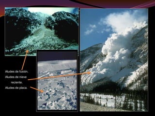 Deformación de pavimentos en las aceras. 