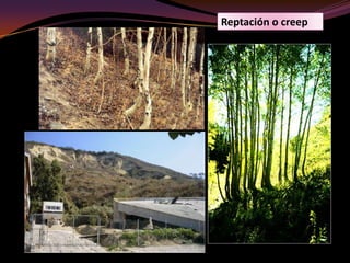 También puede provocar cambios en el volumen de hidratación de la anhidrita ( sulfato de calcio). 