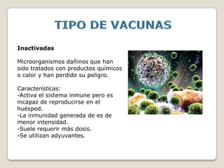 Inactivadas

Microorganismos dañinos que han
sido tratados con productos químicos
o calor y han perdido su peligro.

Características:
-Activa el sistema inmune pero es
incapaz de reproducirse en el
huésped.
-La inmunidad generada de es de
menor intensidad.
-Suele requerir más dosis.
-Se utilizan adyuvantes.
 