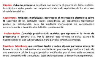 Cápside. Cubierta proteica o envoltura que encierra el genoma de ácido nucleico.
Las cápsides vacías pueden ser subproductos del ciclo replicativo de los virus con
simetría icosaédrica.
Capsómeros. Unidades morfológicas observadas al microscopio electrónico sobre
la superficie de las partículas virales icosaédricas. Los capsómeros representan
grupos de polipéptidos, pero las unidades morfológicas no corresponden
necesariamente a las unida-des definidas químicamente.
Nucleocápside. Complejo proteína-ácido nucleico que representan la forma de
presentarse el genoma viral. Por lo general, este término se utiliza cuando la
nucleocápside es una subestructura de una partícula viral más compleja.
Envoltura. Membrana que contiene lípidos y rodea algunas partículas virales. Se
forma durante la maduración viral mediante un proceso de gemación a través de
una membrana celular. Las glucoproteínas codificadas por el virus están expuestas
sobre la superficie de la envoltura. Estas prolongaciones se denominan peplómeros.
 