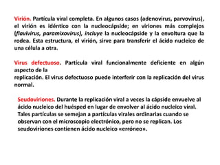 Virión. Partícula viral completa. En algunos casos (adenovirus, parvovirus),
el virión es idéntico con la nucleocápside; en viriones más complejos
(flavivirus, paramixovirus), incluye la nucleocápside y la envoltura que la
rodea. Esta estructura, el virión, sirve para transferir el ácido nucleico de
una célula a otra.
Virus defectuoso. Partícula viral funcionalmente deficiente en algún
aspecto de la
replicación. El virus defectuoso puede interferir con la replicación del virus
normal.
Seudoviriones. Durante la replicación viral a veces la cápside envuelve al
ácido nucleico del huésped en lugar de envolver al ácido nucleico viral.
Tales partículas se semejan a partículas virales ordinarias cuando se
observan con el microscopio electrónico, pero no se replican. Los
seudoviriones contienen ácido nucleico «erróneo».
 