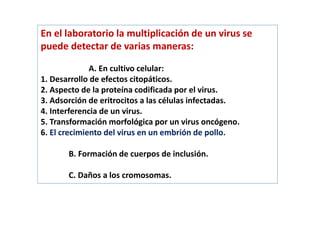 En el laboratorio la multiplicación de un virus se
puede detectar de varias maneras:
A. En cultivo celular:
1. Desarrollo de efectos citopáticos.
2. Aspecto de la proteína codificada por el virus.
3. Adsorción de eritrocitos a las células infectadas.
4. Interferencia de un virus.
5. Transformación morfológica por un virus oncógeno.
6. El crecimiento del virus en un embrión de pollo.
B. Formación de cuerpos de inclusión.
C. Daños a los cromosomas.
 
