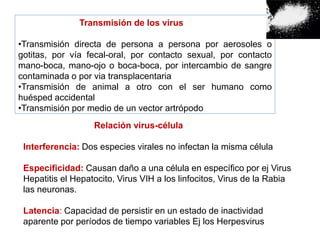 Transmisión de los virus
•Transmisión directa de persona a persona por aerosoles o
gotitas, por vía fecal-oral, por contacto sexual, por contacto
mano-boca, mano-ojo o boca-boca, por intercambio de sangre
contaminada o por via transplacentaria
•Transmisión de animal a otro con el ser humano como
huésped accidental
•Transmisión por medio de un vector artrópodo
Relación virus-célula
Interferencia: Dos especies virales no infectan la misma célula
Especificidad: Causan daño a una célula en específico por ej Virus
Hepatitis el Hepatocito, Virus VIH a los linfocitos, Virus de la Rabia
las neuronas.
Latencia: Capacidad de persistir en un estado de inactividad
aparente por períodos de tiempo variables Ej los Herpesvirus
 