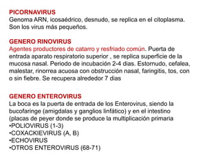PICORNAVIRUS
Genoma ARN, icosaédrico, desnudo, se replica en el citoplasma.
Son los virus más pequeños.
GENERO RINOVIRUS
Agentes productores de catarro y resfriado común. Puerta de
entrada aparato respiratorio superior , se replica superficie de la
mucosa nasal. Periodo de incubación 2-4 dias. Estornudo, cefalea,
malestar, rinorrea acuosa con obstrucción nasal, faringitis, tos, con
o sin fiebre. Se recupera alrededor 7 dias
GENERO ENTEROVIRUS
La boca es la puerta de entrada de los Enterovirus, siendo la
bucofaringe (amigdalas y ganglios linfático) y en el intestino
(placas de peyer donde se produce la multiplicación primaria
•POLIOVIRUS (1-3)
•COXACKIEVIRUS (A, B)
•ECHOVIRUS
•OTROS ENTEROVIRUS (68-71)
 