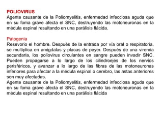 POLIOVIRUS
Agente causante de la Poliomyelitis, enfermedad infecciosa aguda que
en su foma grave afecta el SNC, destruyendo las motoneuronas en la
médula espinal resultando en una parálisis flácida.
Patogenia
Resevorio el hombre. Después de la entrada por vía oral o respiratoria,
se multiplica en amigdalas y placas de peyer. Después de una viremia
secundaria, los poliovirus circulantes en sangre pueden invadir SNC.
Pueden propagarse a lo largo de los cilindroejes de los nervios
perisféricos, y avanzar a lo largo de las fibras de las motoneuronas
inferiores para afectar a la médula espinal o cerebro, las astas anteriores
son muy afectadas.
Agente causante de la Poliomyelitis, enfermedad infecciosa aguda que
en su foma grave afecta el SNC, destruyendo las motoneuronas en la
médula espinal resultando en una parálisis flácida
 
