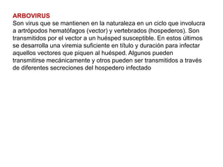 ARBOVIRUS
Son virus que se mantienen en la naturaleza en un ciclo que involucra
a artrópodos hematófagos (vector) y vertebrados (hospederos). Son
transmitidos por el vector a un huésped susceptible. En estos últimos
se desarrolla una viremia suficiente en título y duración para infectar
aquellos vectores que piquen al huésped. Algunos pueden
transmitirse mecánicamente y otros pueden ser transmitidos a través
de diferentes secreciones del hospedero infectado
 