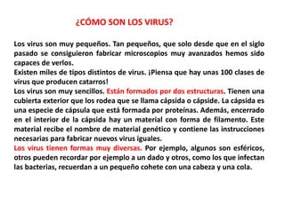 ¿CÓMO SON LOS VIRUS?
Los virus son muy pequeños. Tan pequeños, que solo desde que en el siglo
pasado se consiguieron fabricar microscopios muy avanzados hemos sido
capaces de verlos.
Existen miles de tipos distintos de virus. ¡Piensa que hay unas 100 clases de
virus que producen catarros!
Los virus son muy sencillos. Están formados por dos estructuras. Tienen una
cubierta exterior que los rodea que se llama cápsida o cápside. La cápsida es
una especie de cápsula que está formada por proteínas. Además, encerrado
en el interior de la cápsida hay un material con forma de filamento. Este
material recibe el nombre de material genético y contiene las instrucciones
necesarias para fabricar nuevos virus iguales.
Los virus tienen formas muy diversas. Por ejemplo, algunos son esféricos,
otros pueden recordar por ejemplo a un dado y otros, como los que infectan
las bacterias, recuerdan a un pequeño cohete con una cabeza y una cola.
 
