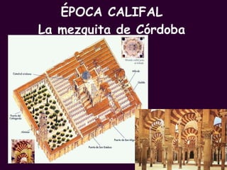 ÉPOCA CALIFAL La mezquita de Córdoba PROFESORA: Mª Victoria Landa 