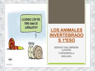 LOS ANIMALES
INVERTEBRADO
S 1ºESO
SERGIO SALOBREÑA
LUCENA
FUENGIROLA
MÁLAGA
 