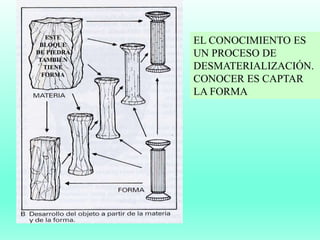 ESTE
BLOQUE
DE PIEDRA
TAMBIÉN
TIENE
FORMA
EL CONOCIMIENTO ES
UN PROCESO DE
DESMATERIALIZACIÓN.
CONOCER ES CAPTAR
LA FORMA
 