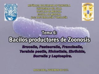 Tema 6:
Bacilos productores de Zoonosis
REPÚBLICA BOLIVARIANA DE VENEZUELA
UNIVERSIDAD DEL ZULIA
FACULTAD DE MEDICINA
ESCUELA DE MEDICINA
UnC: BACTERIOLOGÍA Y VIROLOGÍA
MARACAIBO, NOVIEMBRE DE 2017.
 