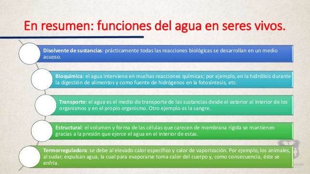 El agua y los seres vivos.