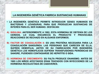 LA INGENIERÍA GENÉTICA FABRICA SUSTANCIAS HUMANAS
• LA INGENIERÍA GENÉTICA PERMITE INTRODUCIR GENES HUMANOS EN
BACTERIAS Y LEVADURAS, PARA QUE PRODUZCAN SUSTANCIAS DE
INTERÉS PARA EL SER HUMANO. DESTACAN:
A) INSULINA: ANTERIORMENTE A 1982, ESTA HORMONA SE OBTENÍA DE LOS
CERDOS, LO CUAL ENCARECÍA EL PRODUCTO Y PROVOCABA
REACCIONES DE RECHAZO EN ALGUNOS ENFERMOS.
B) FACTOR DE COAGULACIÓN 8: ES UNA PROTEÍNA NECESARIA PARA LA
COAGULACIÓN SANGUÍNEA. LAS PERSONAS QUE CARECEN DE ELLA,
SUFREN HEMOFILIA. ANTES DE SU FABRICACIÓN POR INGENIERÍA
GENÉTICA LOS HEMOFÍLICOS SUFRÍAN TRANSFUSIONES PERIÓDICAS DE
SANGRE, PUDIENDO CONTAGIARSE DE HEPATITIS O SIDA.
C) HORMONA DE CRECIMIENTO: SU FALTA PRODUCE ENANISMO. ANTES DE
1985 LOS NIÑOS AFECTADOS ERAN TRATADOS CON INYECCIONES DE LA
HORMONA RECOLECTADA DE CADÁVERES.
 