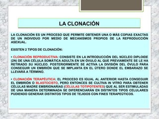 LA CLONACIÓN
LA CLONACIÓN ES UN PROCESO QUE PERMITE OBTENER UNA O MÁS COPIAS EXACTAS
DE UN INDIVIDUO POR MEDIO DE MECANISMOS PROPIOS DE LA REPRODUCCIÓN
ASEXUAL.
EXISTEN 2 TIPOS DE CLONACIÓN:
• CLONACIÓN REPRODUCTIVA: CONSISTE EN LA INTRODUCCIÓN DEL NÚCLEO DIPLOIDE
(2N) DE UNA CÉLULA SOMÁTICA ADULTA EN UN ÓVULO AL QUE PREVIAMENTE SE LE HA
RETIRADO SU NÚCLEO. POSTERIORMENTE SE ACTIVA LA DIVISIÓN DEL ÓVULO PARA
CONSEGUIR UN EMBRIÓN QUE SE IMPLANTA EN EL ÚTERO DONDE EL EMBARAZO SE
LLEVARÁ A TÉRMINO.
• CLONACIÓN TERAPÉUTICA: EL PROCESO ES IGUAL AL ANTERIOR HASTA CONSEGUIR
EL EMBRIÓN O BLASTOCISTO, PERO ENTONCES SE CULTIVA IN VITRO PARA OBTENER
CÉLULAS MADRE EMBRIONARIAS (CÉLULAS TOTIPOTENTES) QUE AL SER ESTIMULADAS
DE UNA MANERA DETERMINADA SE DIFERENCIARÁN EN DISTINTOS TIPOS CELULARES
PUDIENDO GENERAR DISTINTOS TIPOS DE TEJIDOS CON FINES TERAPEÚTICOS.
 
