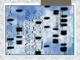 ALIMENTOS TRANSGÉNICOS
 