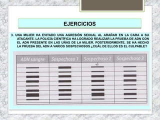 EJERCICIOS
3. UNA MUJER HA EVITADO UNA AGRESIÓN SEXUAL AL ARAÑAR EN LA CARA A SU
ATACANTE. LA POLICÍA CIENTÍFICA HA LOGRADO REALIZAR LA PRUEBA DE ADN CON
EL ADN PRESENTE EN LAS UÑAS DE LA MUJER. POSTERIORMENTE, SE HA HECHO
LA PRUEBA DEL ADN A VARIOS SOSPECHOSOS ¿CUÁL DE ELLOS ES EL CULPABLE?
 