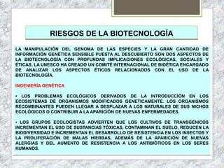 RIESGOS DE LA BIOTECNOLOGÍA
LA MANIPULACIÓN DEL GENOMA DE LAS ESPECIES Y LA GRAN CANTIDAD DE
INFORMACIÓN GENÉTICA SENSIBLE PUESTA AL DESCUBIERTO SON DOS ASPECTOS DE
LA BIOTECNOLOGÍA CON PROFUNDAS IMPLICACIONES ECOLÓGICAS, SOCIALES Y
ÉTICAS. LA UNESCO HA CREADO UN COMITÉ INTERNACIONAL DE BIOÉTICA ENCARGADO
DE ANALIZAR LOS ASPECTOS ÉTICOS RELACIONADOS CON EL USO DE LA
BIOTECNOLOGÍA.
INGENIERÍA GENÉTICA
• LOS PROBLEMAS ECOLÓGICOS DERIVADOS DE LA INTRODUCCIÓN EN LOS
ECOSISTEMAS DE ORGANISMOS MODIFICADOS GENETICAMENTE. LOS ORGANISMOS
RECOMBINANTES PUEDEN LLEGAR A DESPLAZAR A LOS NATURALES DE SUS NICHOS
ECOLÓGICOS O CONTRIBUIR A LA APARICIÓN DE NUEVAS ENFERMEDADES.
• LOS GRUPOS ECOLOGISTAS ADVIERTEN QUE LOS CULTIVOS DE TRANSGÉNICOS
INCREMENTAN EL USO DE SUSTANCIAS TÓXICAS, CONTAMINAN EL SUELO, REDUCEN LA
BIODIVERSIDAD E INCREMENTAN EL DESARROLLO DE RESISTENCIA EN LOS INSECTOS Y
LA PROLIFERACIÓN DE MALAS HIERBAS, ADEMÁS DE LA APARICIÓN DE NUEVAS
ALERGIAS Y DEL AUMENTO DE RESISTENCIA A LOS ANTIBIÓTICOS EN LOS SERES
HUMANOS.
 