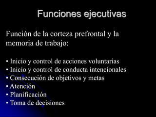 Funciones ejecutivas

Función de la corteza prefrontal y la
memoria de trabajo:

• Inicio y control de acciones voluntarias
• Inicio y control de conducta intencionales
• Consecución de objetivos y metas
• Atención
• Planificación
• Toma de decisiones
 