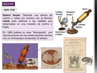 1635-1702
Robert Hooke. Describe una lámina de
corcho y utiliza por primera vez el término
célula para referirse a las celdillas que
observadas en una muestra de corcho y
hojas.
SIGLO XVII
En 1665 publica su obra “Micrografía”, con
reproducciones de sus observaciones hechas
con un microscopio compuesto (2 lentes).
 