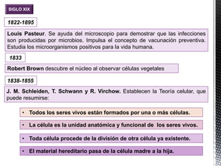 SIGLO XIX
Louis Pasteur. Se ayuda del microscopio para demostrar que las infecciones
son producidas por microbios. Impulsa el concepto de vacunación preventiva.
Estudia los microorganismos positivos para la vida humana.
1822-1895
Robert Brown descubre el núcleo al observar células vegetales
1833
1838-1855
J. M. Schleiden, T. Schwann y R. Virchow. Establecen la Teoría celular, que
puede resumirse:
• Todos los seres vivos están formados por una o más células.
• La célula es la unidad anatómica y funcional de los seres vivos.
• Toda célula procede de la división de otra célula ya existente.
• El material hereditario pasa de la célula madre a la hija.
 