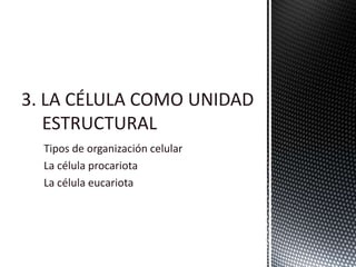 3. LA CÉLULA COMO UNIDAD
ESTRUCTURAL
Tipos de organización celular
La célula procariota
La célula eucariota
 