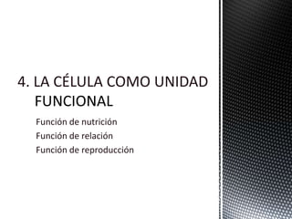 4. LA CÉLULA COMO UNIDAD
Función de nutrición
Función de relación
Función de reproducción
 