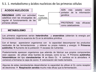 ÁCIDOS NUCLÉICOS
METABOLISMO
RIBOZIMAS (ARN con actividad
catalítica) eran las encargadas de
regular el funcionamiento de las
primeras células
ADN más estable como
portador de la información
genéticaFueron
sustituidas
por
PROTEÍNAS más eficaces
como catalizadores
Los primeros organismos serían heterótrofos y anaerobios (obtenían la energía por
fermentación) dada la ausencia de O2 en la atmósfera primitiva
Con el tiempo aparecieron organismos con la capacidad descomponer los productos
residuales de las fermentaciones y obtener su propia materia y energía  Primeros
autótrofos  Aumento de la población  escasez de nutrientes
Posteriormente aparecen organismos que además de fabricar sus propios componentes
eran capaces de utilizar otras fuentes de energía, como la luz,  Primeros autótrofos
fotosintéticos del tipo cianobacterias  se libera O2  cambios en la atmósfera 
comenzó a formarse la capa de ozono  colonización del medio terrestre.
Algunas de estas cianobacterias desarrollarían la capacidad de utilizar el O2 como receptor
de electrones  Respiración aerobia mucho más eficaz que la fermentación.
 