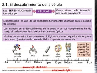 Los SERES VIVOS están
formados por
CÉLULAS
Que provienen de la división de
una célula preexistente
El microscopio es una de las principales herramientas utilizadas para el estudio
de la célula.
Tamaños relativos de las células y sus componentes
Muchas de las estructuras y eventos biológicos son más pequeños de lo que el
ojo humano (resolución de cerca de 100 µm.) puede ver sin ayuda.
Los avances en el descubrimiento de la célula y de sus componentes ha ido
parejo al perfeccionamiento de los instrumentos ópticos.
 
