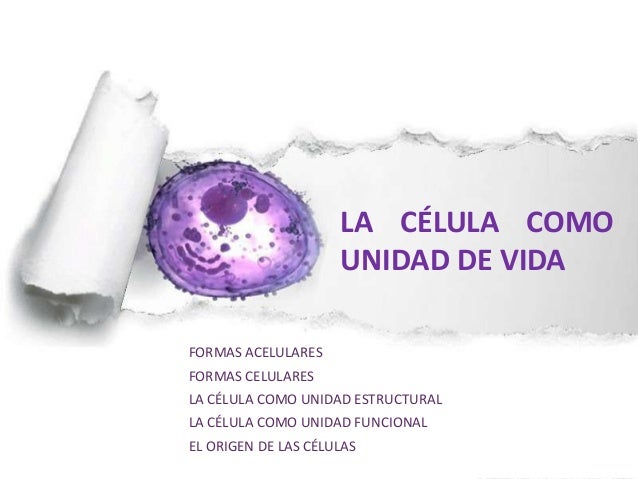 Tema 6 C_ la célula como unidad de vida