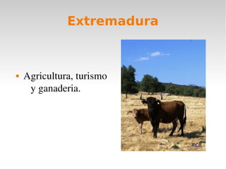 Extremadura
Agricultura, turismo
y ganaderia.