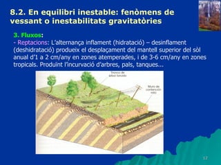 8.2. En equilibri inestable: fenòmens de vessant o inestabilitats gravitatòries   3. Fluxos :  - Reptacions : L’alternança inflament (hidratació) – desinflament (deshidratació) produeix el desplaçament del mantell superior del sòl anual d’1 a 2 cm/any en zones atemperades, i de 3-6 cm/any en zones tropicals. Produïnt l’incurvació d’arbres, pals, tanques... 