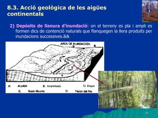 8.3.  Acció geològica de les aigües continentals   2) Depòsits de llanura d’inundació : on el terreny es pla i ampli es formen dics de contenció naturals que flanquegen la llera produïts per inundacions successives.&& 