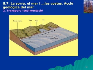 8.7. La sorra, el mar i ...les costes. Acció geològica del mar   2. Transport i sedimentació   
