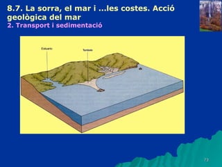 8.7. La sorra, el mar i ...les costes. Acció geològica del mar   2. Transport i sedimentació   