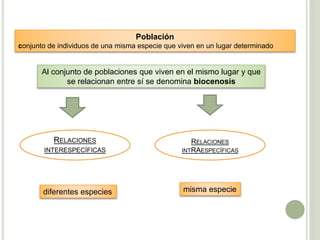 Población
conjunto de individuos de una misma especie que viven en un lugar determinado
Al conjunto de poblaciones que viven en el mismo lugar y que
se relacionan entre sí se denomina biocenosis
RELACIONES
INTERESPECÍFICAS
RELACIONES
INTRAESPECÍFICAS
diferentes especies misma especie
 