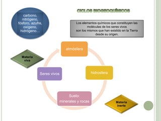 carbono,
nitrógeno,
fósforo, azufre,
oxígeno,
hidrógeno…
Los elementos químicos que constituyen las
moléculas de los seres vivos
son los mismos que han existido en la Tierra
desde su origen.
atmósfera
hidrosfera
Suelo:
minerales y rocas
Seres vivos
Materia
inerte
Materia
viva
 