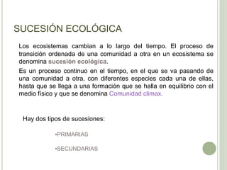 SUCESIÓN ECOLÓGICA
Los ecosistemas cambian a lo largo del tiempo. El proceso de
transición ordenada de una comunidad a otra en un ecosistema se
denomina sucesión ecológica.
Es un proceso continuo en el tiempo, en el que se va pasando de
una comunidad a otra, con diferentes especies cada una de ellas,
hasta que se llega a una formación que se halla en equilibrio con el
medio físico y que se denomina Comunidad climax.
Hay dos tipos de sucesiones:
•PRIMARIAS
•SECUNDARIAS
 