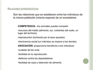 RELACIONES INTRAESPECÍFICAS
Son las relaciones que se establecen entre los individuos de
la misma población (misma especie) de un ecosistema:
COMPETENCIA.- los animales pueden competir:
•recursos del medio (alimento, luz, nutrientes del suelo, un
lugar del territorio)
•reproducción (luchando por el sexo opuesto)
•dominancia social (un individuo se impone a los demás).
ASOCIACIÓN.-proporciona beneficios a los individuos
•cuidado de las crías
•facilidad en la reproducción
•defensa contra los depredadores
•facilidad de caza y obtención de alimento.
 