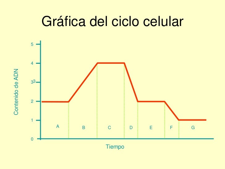 Tema 6 el ciclo celular. mitosis y meiosis Tema 6 el ciclo celular. mitosis y meiosis