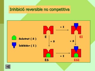 Inhibició reversible no competitiva
 
