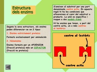 S’uneixen al substrat per una part
     Estructura                         denominada centre actiu. En aquesta
     dels enzims                        regió hi ha les condicions que
                                        afavoreixen el canvi del substrat a
                                        producte. La unió es específica i
                                        respon a dos models d’unió.
                                        Hi ha enzims que tenen, a part del
Segons la seva estructura, els enzims   centre actiu, un o més centres
                                        al·lostèrics
poden diferenciar-se en 2 tipus:
1. Enzims estrictament proteics
Formats exclusivament per aminoàcids
2. Holoenzims
Enzims formats per un APOENZIM
(fracció proteica) més un COFACTOR
(fracció no proteica)
 