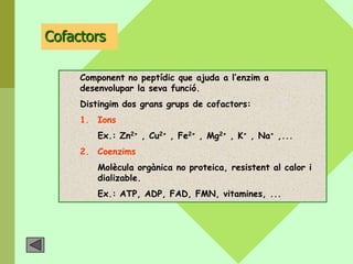 Cofactors

     Component no peptídic que ajuda a l’enzim a
     desenvolupar la seva funció.
     Distingim dos grans grups de cofactors:
     1. Ions
         Ex.: Zn2+ , Cu2+ , Fe2+ , Mg2+ , K+ , Na+ ,...
     2. Coenzims
         Molècula orgànica no proteica, resistent al calor i
         dializable.
         Ex.: ATP, ADP, FAD, FMN, vitamines, ...
 
