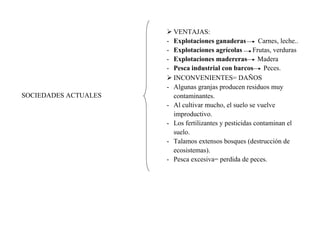 SOCIEDADES ACTUALES

 VENTAJAS:
- Explotaciones ganaderas
Carnes, leche..
- Explotaciones agrícolas
Frutas, verduras
- Explotaciones madereras
Madera
- Pesca industrial con barcos
Peces.
 INCONVENIENTES= DAÑOS
- Algunas granjas producen residuos muy
contaminantes.
- Al cultivar mucho, el suelo se vuelve
improductivo.
- Los fertilizantes y pesticidas contaminan el
suelo.
- Talamos extensos bosques (destrucción de
ecosistemas).
- Pesca excesiva= perdida de peces.

 