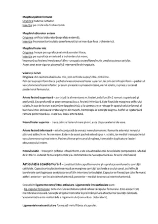 Mușchiul pătrat femural
Originea:tuberul ischiatic;
Inserția:pe cristaintertrohanterică.
Mușchiul obturator extern
Originea:orificiul obturator(suprafațaexternă);
Inserția:înconjoarăarticulațiacoxofemuralăși se inserăpe fosatrohanterică.
Mușchiul fesiermic
Originea:începe pe suprafațaexternăacrestei iliace;
Inserția:pe suprafațaanterioarăa trohanterului mare;
Împreunăcu fesierulmediuse aflăîntr-unspațiuosteofibrosînchisumplutcuțesutcelular.
Aceststrat este vigurosși complicăintervențiile chirurgicale.
Vasele și nervii
Originea:dincavitateabazinului mic,prinorificiilesupra/infra-piriforme.
Princel suprapiriformtrece pachetul vasculonervosfesiersuperior,iarprincel infrapiriform –pachetul
vasculonervosfesierinferior,precumși vasele rușinoase interne,nervii sciatic,rușinosși cutanat
posterioral femurului.
Artera fesierăsuperioară – participăla alimentaream.fesieri,se bifurcăîn2 ramuri:superioarăși
profundă.Ceaprofundăse anastomozeazăcua. fesierăinferioară. Este fixatăde margineaorificiului
sciatic,în caz de leziuni earămâne largdeschisă,și lacontracție se retrage în spațiul celularlateral al
bazinului mic.Dincauzastratului grosde mușchi,hemoragiase oprește cugreu.Astfel se ligaturează
ramura posterioarăaa. iliace sauînsăși arteradată.
Nervul fesiersuperior- trece printre fesierul mare și mic,este dispusexteriorde vase.
Artera fesierăinferioară– este înconjuratăde venași nervul omonimi.Ramurile artereiși nervului
pătrundadânc în m.fesiermare.Externde acestpacheteste dispusn.sciatic,iarmedial trece pachetul
vasculonervosrușinosintern.Pachetul trece princanalul rușinos,formatdinduplicaturafasciei
obturatorului intern.
Nervul sciatic – trece prinorificiul infrapiriform,este situatmai lateral de celelalte componente.Medial
de el trec n. cutanat femural posteriorși a.comitantăa nervului (ramurăaa. fesiere inferioară).
Articulațiacoxofemurală–constituitădincapul femurului și suprafațasemilunarăacavității
catiloide.Capsulaarticularăse insereazăpe margineacavității catiloideaosului coxal,astfelîncât
bureletele cartilaginoase acetabularse aflăîn interiorul articulației.Capsularse fixeazăpe colul femural,
astfel:anterior–pe liniaintertrohanterică;posterior –medial de creastaintertrohanterică.
Deosebimligamente extra/intra-articulare.Ligamentele intraarticulare sunt:
- lig.capului femurului:de laincizuraacetabului pânălafosetacapului femurului. Este acoperitde
membranasinovială.Servește dreptarmotizatorînpreîntâmpinareafracturilorcavitățiicatiloide.
Vascularizațiaeste realizatăde a.ligamentului(ramurăaa. obturatorii).
Ligamentele extraarticulare formeazăinelulfibrosal capsulei.
 