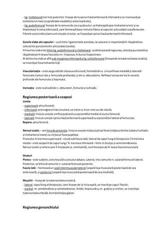 - lig.iliofemural(cel mai puternic):începe de laspinailiacăanterioarăinferioarăși se insereazăpe
trohanterul mare (suprafețelemedialăși anterioarăale);
- lig.pubofemural:începe de laramurade josa pubisului,se îndreaptăspre trohanterulmicși se
împletește înzonaorbiculară,care formeazăbaza inelului fibrosal capsulei articulației coxofemurale.
Fibrele zoneiorbicularesuntsituate circular,se fixeazăpe spinailiacăanterioarăinferioară.
Zonele slabe ale capsulei – suntîntre ligamentele acesteia,iarastaare o importanțăîn răspândirea
colecțiilorpurulentedinarticulație (coxite).
Primul locslabeste între lig.pubofermural și iliofemural.Lezândaceastăregiunea,colecțiapurulentăse
răspândește înteaca fascialăa m. iliopsoas,înbursailiopectinee.
Al doilealocslabse află sub margineainferioarăalig.ischiofemural (începede latuberozitateasciatică,
se inserăpe fosa trohanterică).
Vascularizația – este asiguratăde rețeauaarticulară,formatădina. circumflexe medialăși laterală
femurale (ramuri ale a.femurale profunde),și dina.obturatorie.Reflexul venosare locîn venele
profunde ale femurului și bazinului.
Inervația - este realizatăde n.obturatori,femural și ischiadic.
Regiuneaposterioarăacoapsei
Limite
- superioară:plicafesieră;
- inferioară:prelungirealiniei circulare,ce trece cu 4 cm mai sus de rotulă;
- medială:liniace unește simfizapubianăcuepicondilul medial al osului femural;
- laterală:liniace unește spinailiacăanterioarăsuperioarăcuepicondilul lateral al femurului.
Repere:plicafesieră.
Nervul sciatic – are liniade proiecție:liniace unește mijloculplicei fesei (mijloculdintre tuberul ischiatic
și trohanterul mare) cu mijlocul fosei poplitee.
Proiecția:întreimeasuperioară- situatsubfascialată,lateral de capul lungal bicepsului /întreimea
medie –este acoperitde capul lung/ în treimeainferioară –între m bicepsși semimembranos.
Nervul sciaticși arteracare îl însoțește (a.comitantă),suntîncorporați în teaca fasciomusculară.
Straturi
Pielea– este subțire,concrescutăcuțesutul adipos.Lateral,trecramurile n.cutanatfemural lateral.
Posterior,se bifurcăramurile n.cutanatfemural posterior.
Fascia lată – formeazăun septintermuscularlateral (separălojamuscularăposterioarăde cea
anterioară),și posterior(separălojamuscularăposterioarăde ceamedială).
Mușchii – începde latuberozitateasciatică.
- lateral:capullung al bicepsului,care începe de la liniaaspră,se inserăpe capul fibulei;
- medial:m.semitendinos și semimebranos.Ambii,împreunăcum. grațiosși croitor,se inserăpe
tuberozitateatibială,formândtalpagâștei.
Regiuneagenunchiului
 