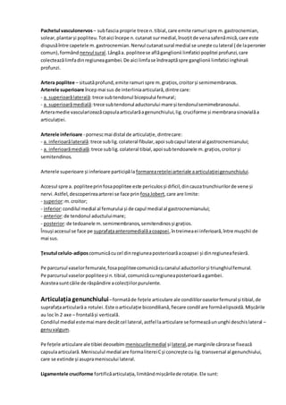 Pachetul vasculonervos – subfascia proprie trece n.tibial,care emite ramuri spre m.gastrocnemian,
solear,plantarși popliteu.Totaici începe n.cutanat surmedial,însoțitde venasafenămică,care este
dispusăîntre capetele m.gastrocnemian.Nervul cutanatsural medial se unește culateral (de laperonier
comun),formând nervul sural.Lângăa. popliteese aflăganglionii limfatici poplitei profunzi,care
colecteazălimfadinregiuneagambei.De aici limfase îndreaptăspre ganglionii limfatici inghinali
profunzi.
Artera poplitee – situatăprofund, emite ramuri spre m.grațios,croitorși semimembranos.
Arterele superioare începmai sus de interliniaarticulară,dintre care:
- a. superioarălaterală:trece subtendonul bicepsului femural;
- a. superioarămedială:trece subtendonul aductorului mare și tendonulsemimebranosului.
Arteramedie vascularizeazăcapsulaarticularăagenunchiului,lig.cruciforme și membranasinovialăa
articulației.
Arterele inferioare - pornescmai distal de articulație,dintrecare:
- a. inferioarălaterală:trece sublig.colateral fibular,apoi subcapul lateral al gastrocnemianului;
- a. inferioarămedială:trece sublig.colateral tibial,apoi subtendoanele m.grațios,croitorși
semitendinos.
Arterele superioare și inferioare participăla formarearețeleiarteriale aarticulațieigenunchiului.
Accesul spre a. popliteeprinfosapoplitee este periculosși dificil,dincauzatrunchiurilorde vene și
nervi.Astfel,descoperireaarterei se face prin fosaJobert,care are limite:
- superior:m.croitor;
- inferior:condilul medial al femurului și de capul medial al gastrocnemianului;
- anterior:de tendonul aductuluimare;
- posterior:de tedoanele m.semimembranos,semitendinosși grațios.
Însuși accesul se face pe suprafațaanteromedialăacoapsei,întreimeaei inferioară,între mușchii de
mai sus.
Țesutul celulo-adiposcomunicăcucel dinregiuneaposterioarăacoapsei și dinregiuneafesieră.
Pe parcursul vaselorfemurale,fosapopliteecomunicăcucanalul aductorilorși triunghiulfemural.
Pe parcursul vaselorpopliteeși n.tibial,comunicăcuregiuneaposterioarăagambei.
Acesteasuntcăile de răspândire acolecțiilorpurulente.
Articulațiagenunchiului–formatăde fețele articulare ale condililoroaselorfemural și tibial,de
suprafațaarticularăa rotulei. Este oarticulație bicondiliană,fiecare condil are formăelipsoidă.Mișcările
au loc în 2 axe – frontalăși verticală.
Condilul medial estemai mare decâtcel lateral,astfel laarticulare se formeazăununghi deschislateral –
genuvalgum.
Pe fețele articulare ale tibiei deosebim meniscurilemedial și lateral,pe marginile cărorase fixează
capsulaarticulară.Menisculul medial are formalitereiCși concrește cu lig.transversal al genunchiului,
care se extinde și asuprameniscului lateral.
Ligamentele cruciforme fortificăarticulația,limitândmișcărilede rotație.Ele sunt:
 