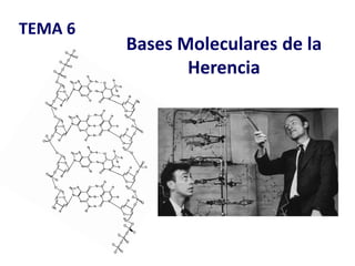 TEMA 6
Bases Moleculares de la
Herencia
 